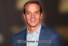 Bill Hemmer Net Worth