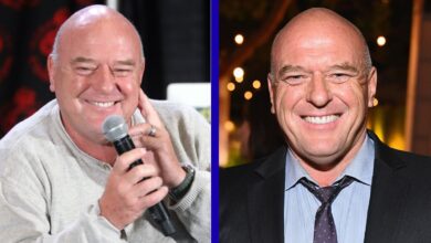 dean norris net worth